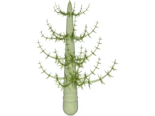 Prehistoric Calamite 3D Model preview