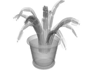 Aloe Plant in a Pot 3D Model preview