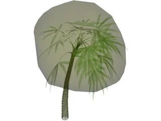 Palm 3D Model preview