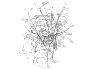 Flower 3D Model preview