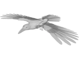 Raven 3D Model preview