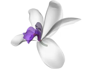Orchid 3D Model preview