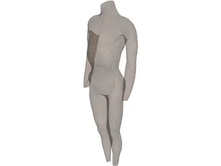Surface Muscles 3D Model preview