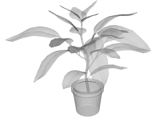 Houseplants 3D Model preview