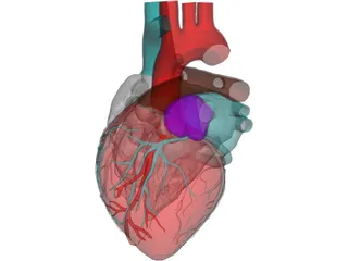 Heart 3D Model preview