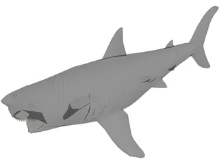 Shark Great White 3D Model preview