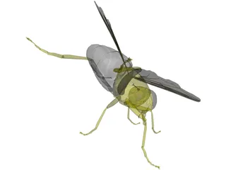 Fly 3D Model preview
