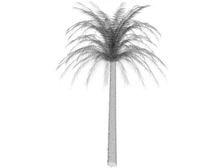 Tree Palm 3D Model preview