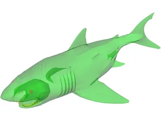 Shark 3D Model preview