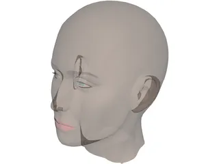 Head Female 3D Model preview