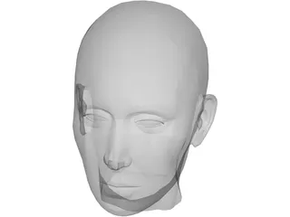 Head Female 3D Model preview