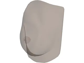 Breast 3D Model preview