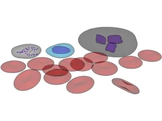 Blood Cells 3D Model preview