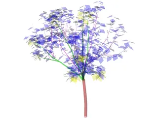 Apricot Tree 3D Model preview