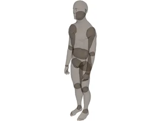 Man 3D Model preview