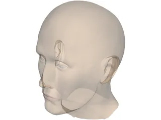 Head Male 3D Model preview