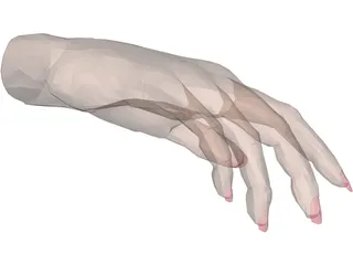 Hand Female 3D Model preview