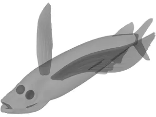 Parexocoetioes 3D Model preview