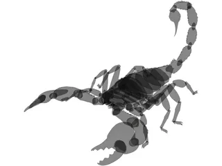 Scorpion (Arachnid Scorpionida) 3D Model preview