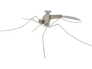 Mosquito 3D Model preview