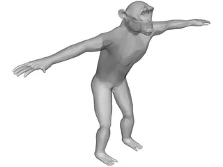 Chimpanzee 3D Model preview