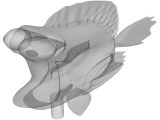 Nemo Cartoon 3D Model preview