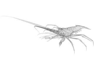 Lobster 3D Model preview