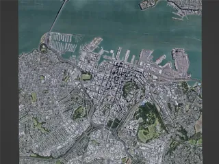 Auckland City, New Zealand (2022) 3D Model preview