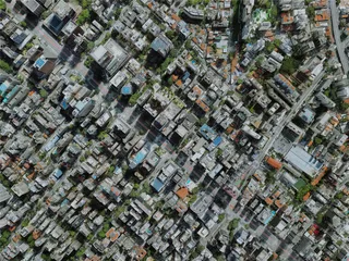 Sao Paulo City, Brazil (2022) 3D Model preview
