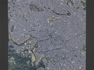 Sendai City, Japan (2022) 3D Model preview