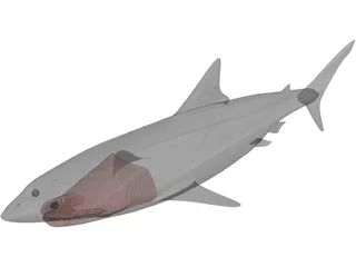 Great White Shark 3D Model preview