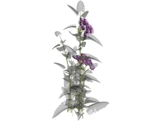 Plant 3D Model preview