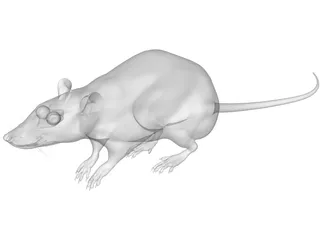 Rat House 3D Model preview