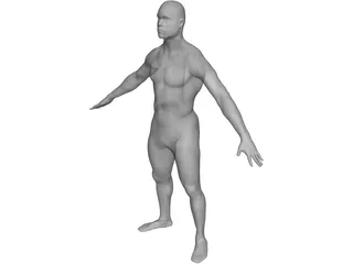 Man Body International 3D Model preview