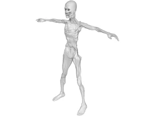 Zombie 3D Model preview
