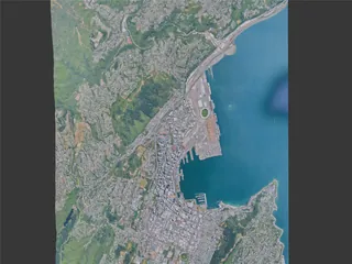 Wellington City, New Zealand (2025) 3D Model preview