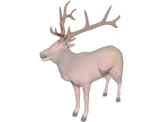 Deer 3D Model preview