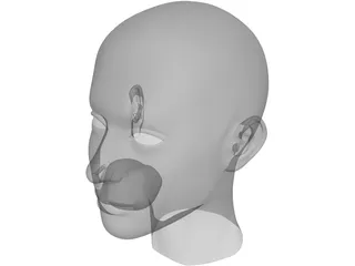 Head 3D Model preview