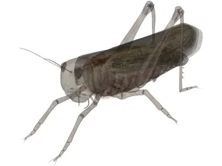 Grasshopper 3D Model preview