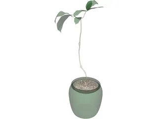Plant 3D Model preview