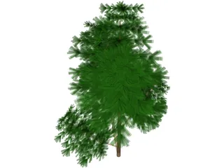 Juniper Bush 3D Model preview