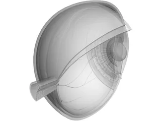 Human Eye Cross Section 3D Model preview