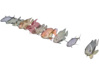 Fish Collection 3D Model preview