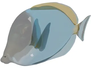 Amblyrhyncotes 3D Model preview