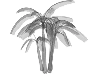 Brasil Bananeira 3D Model preview