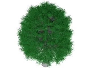 Tree 3D Model preview
