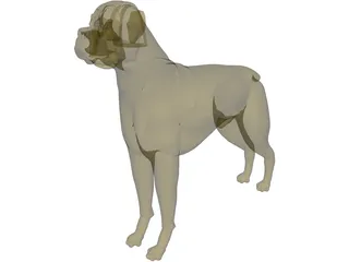 Dog Boxer 3D Model preview
