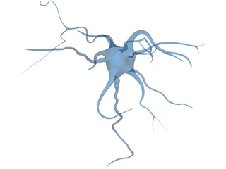 Neuron 3D Model preview