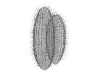 Cactus 3D Model preview