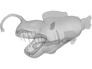 Angler Fish 3D Model preview